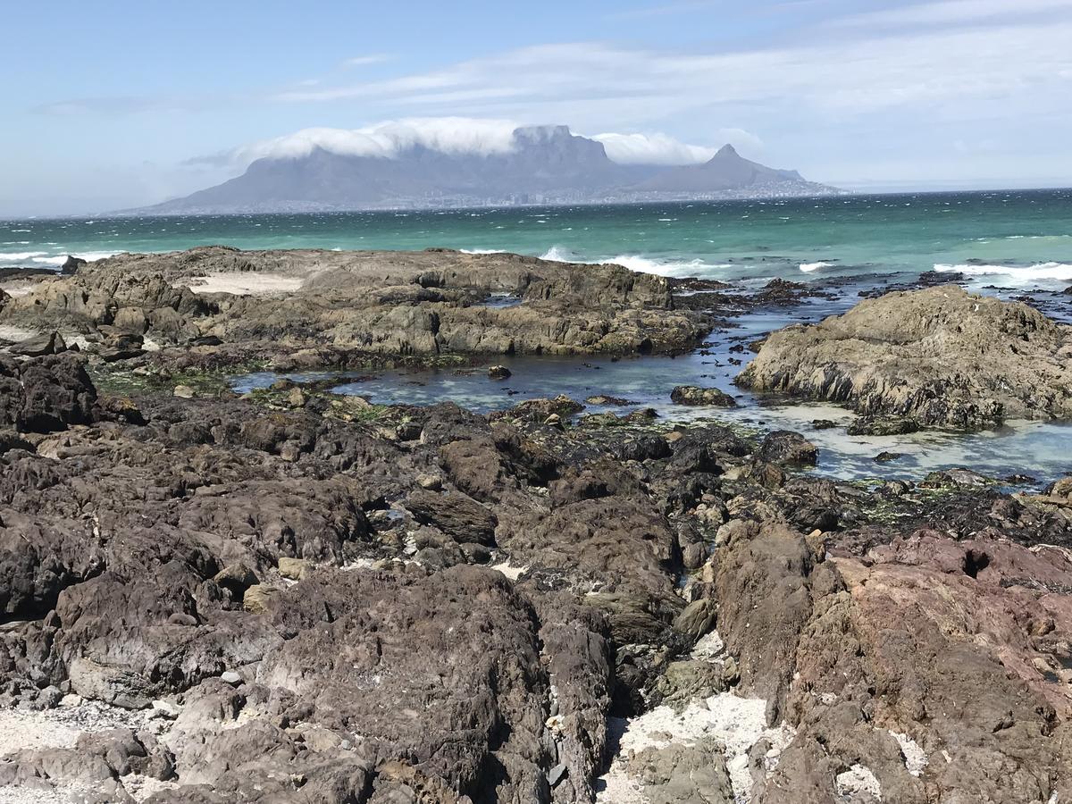 Apartamento Atlantic Haven Bloubergstrand Exterior foto